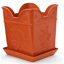 Tulsi Planter