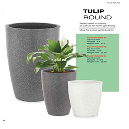 Jasmin Planter